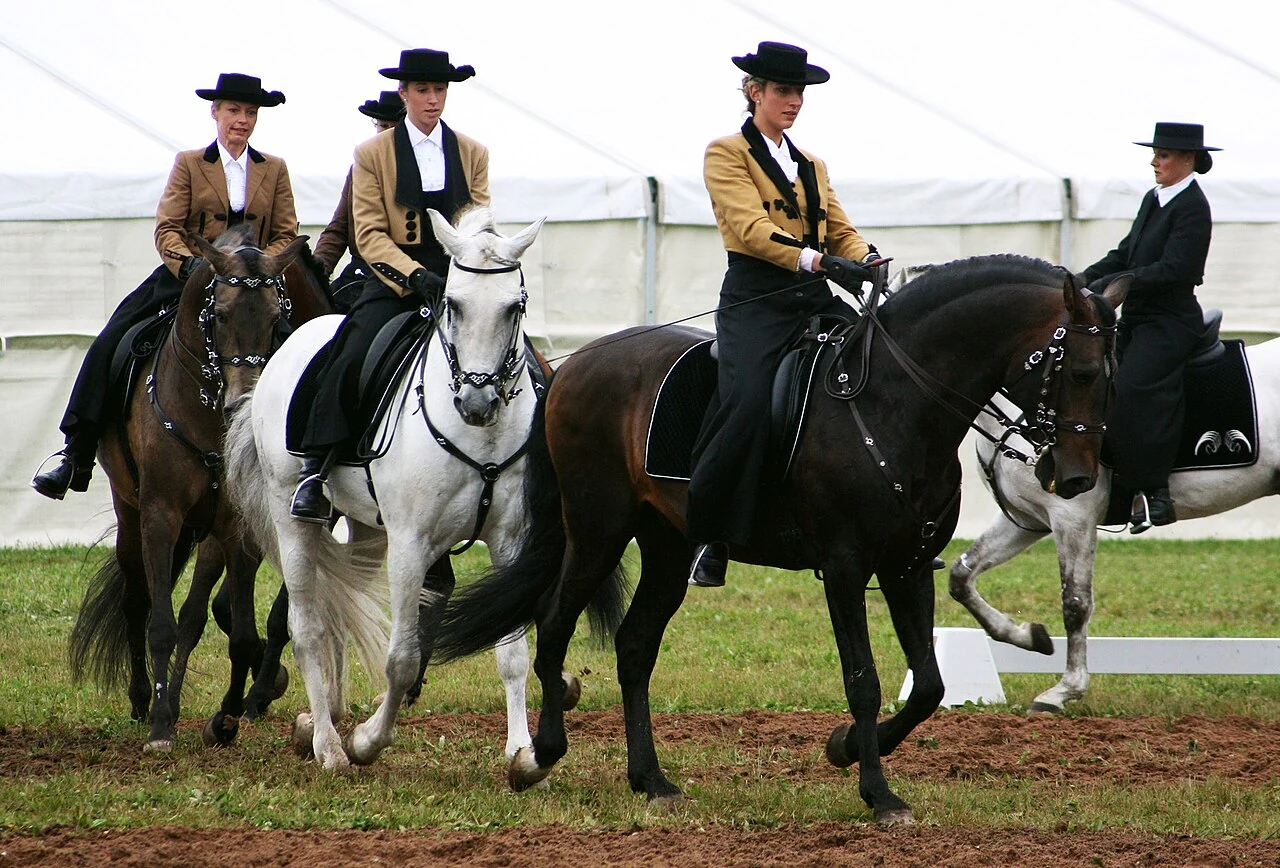 Lusitanos mit Reiterinnen bei Pferd International 2011.