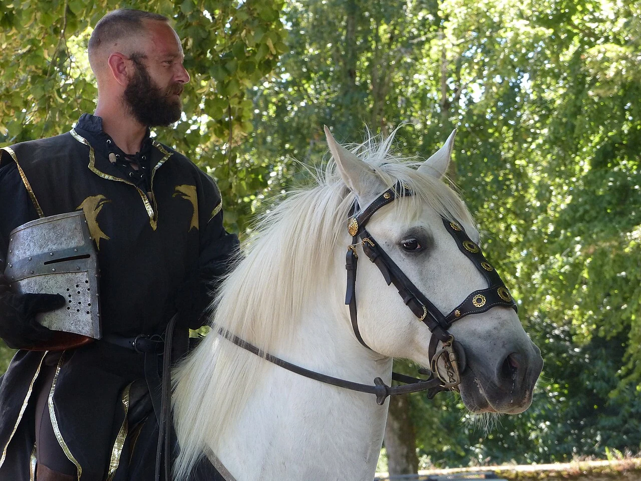 Kopf eines grauen PRE beim Mittelalterfest in Josselin.