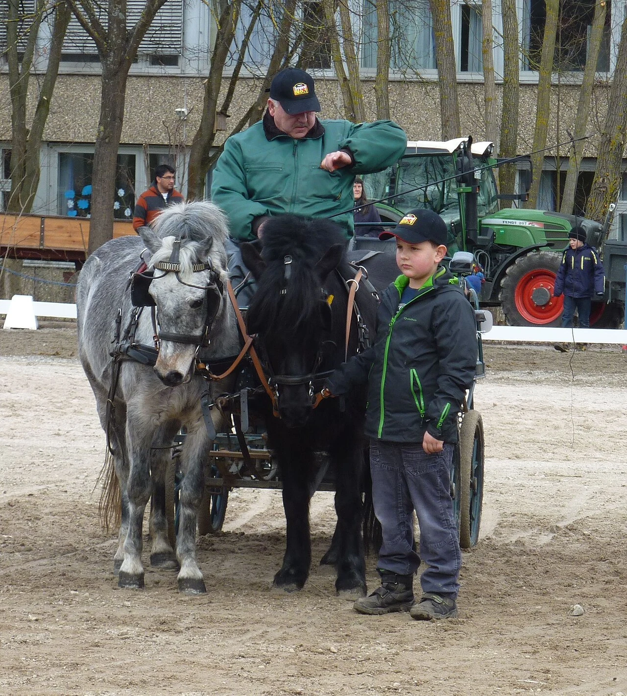 Zwei Dartmoor-Ponys vor einem Wagen beim Pferdemarkt in Bernhausen.