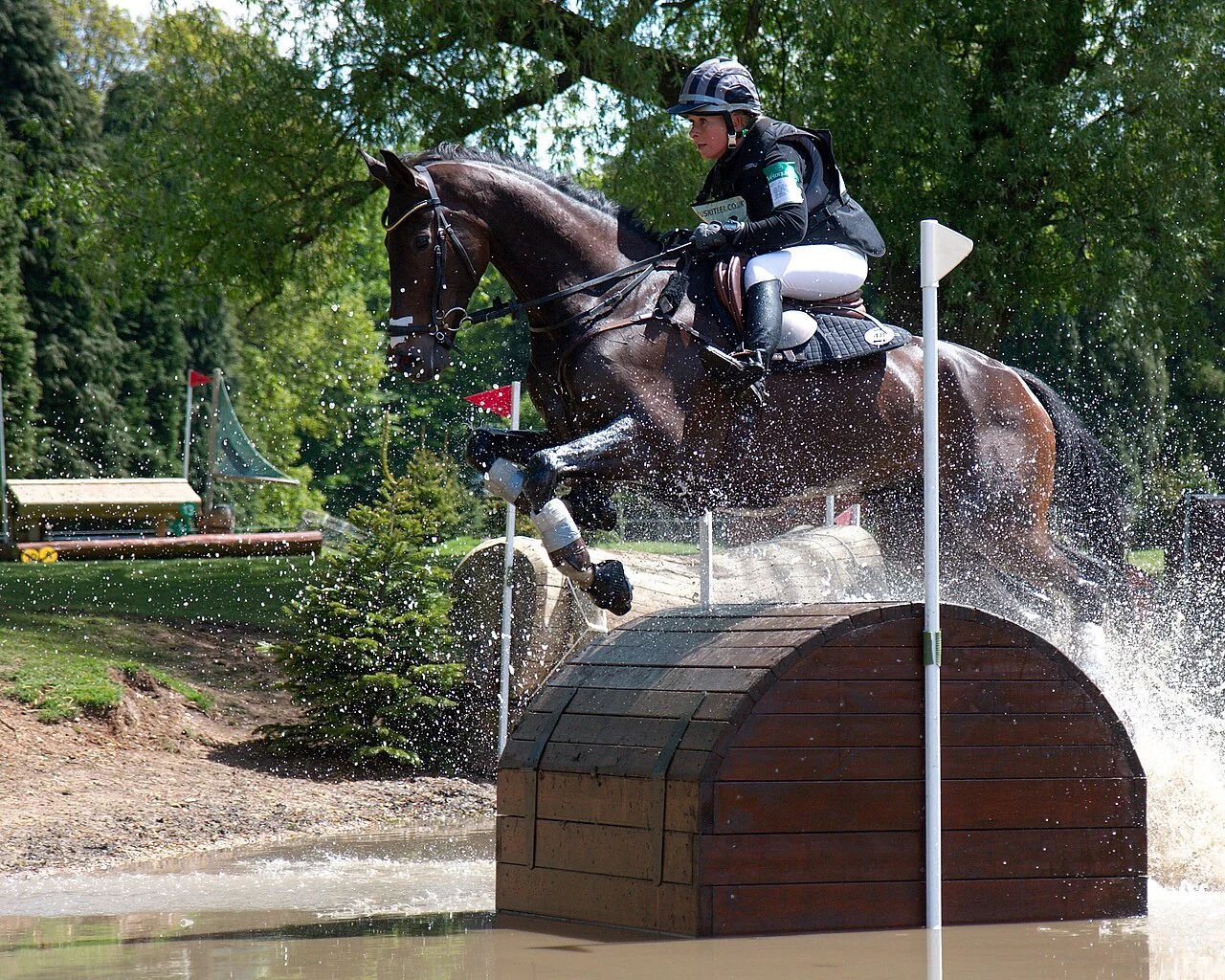 Bettina Hoy jumping out of a water obstacle with the Westphalian horse Designer 10.