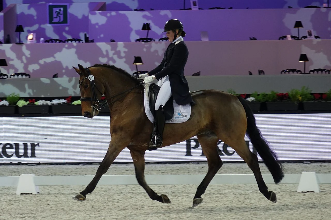 Saskia Maertens riding the Westphalian horse Legend of Loxley at a dressage event.
