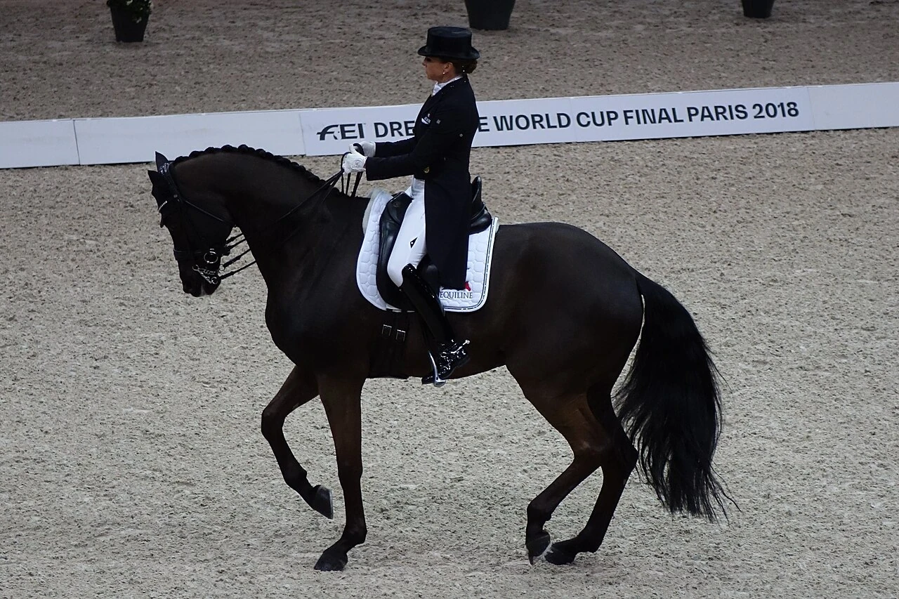 Dorothee Schneiderが馬場馬術競技でDSPのSammy Davis Jr.に乗っています。