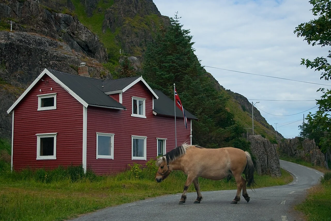 Fjordpferd vor einem roten Holzhaus in Norwegen